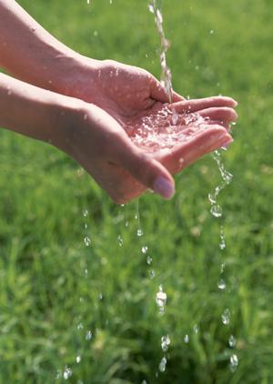 スイーツも楽しめる東京の水タバコのお店