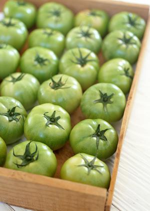 熊本駅から近い場所にある居酒屋